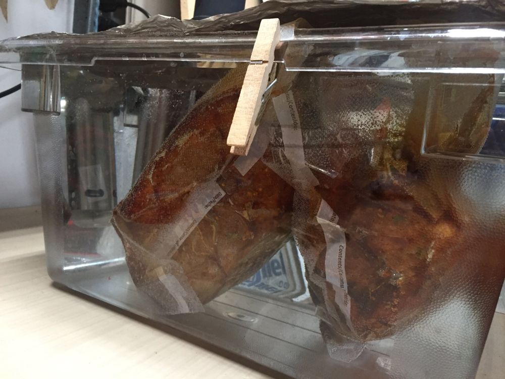 Two bagged seasoned cuts submerged in a clear container with a clothespin holding a bag to the lid